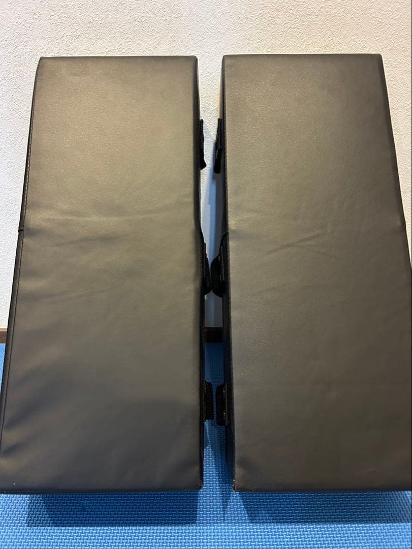 isami イサミ SD-400 カラーキックミット（2個セット）