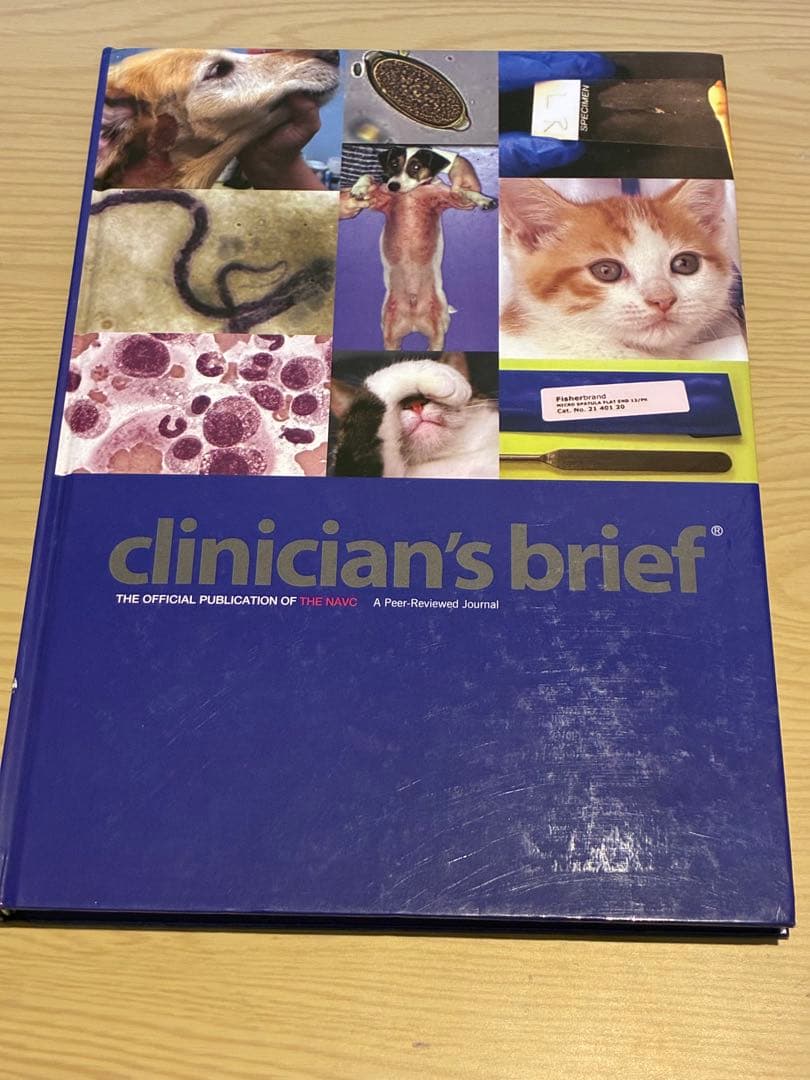 獣医 小動物 clinician's brief Vol. 1-3 セット