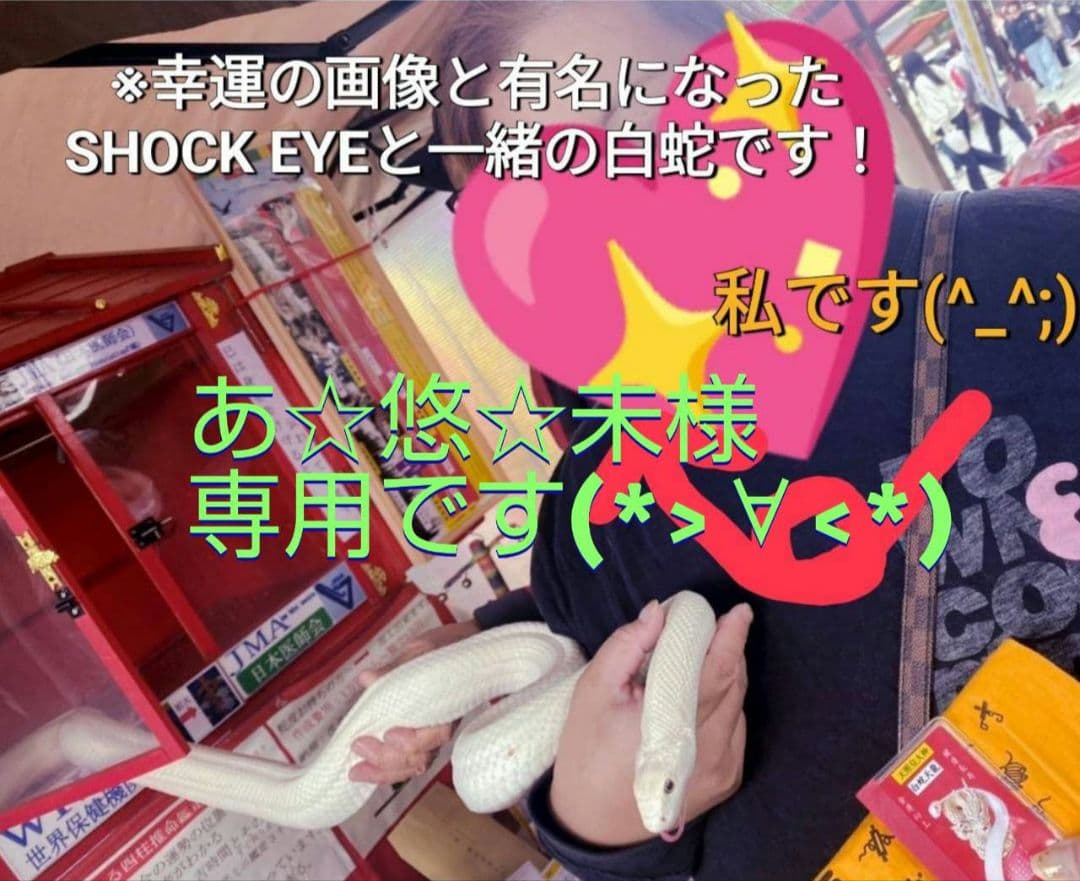 あ☆悠☆未ですヾ(。>﹏<。)ノ゛✧*。