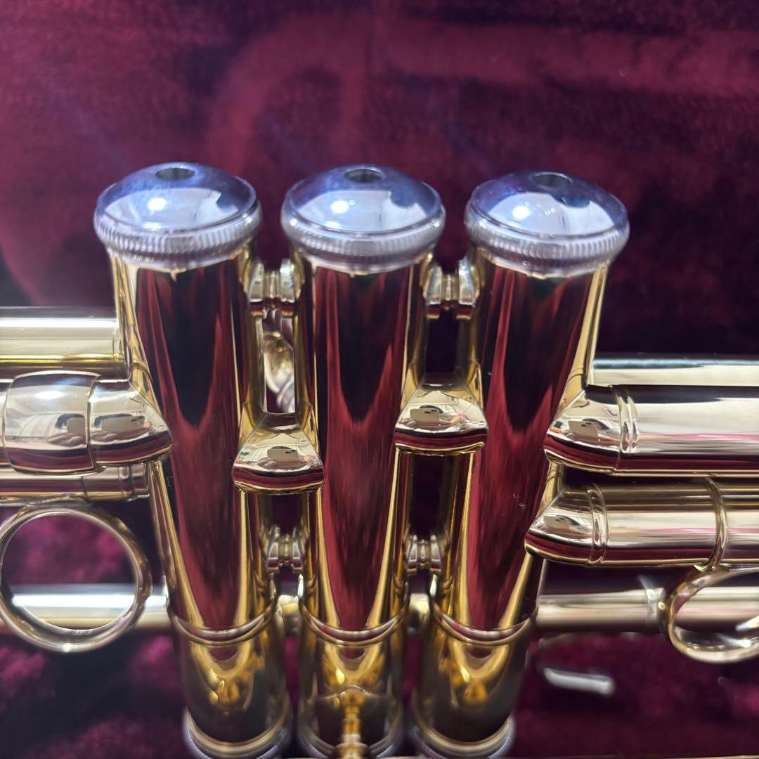 【ほぼ未使用】BRIILER トランペット ケース・付属品付き 初心者向け