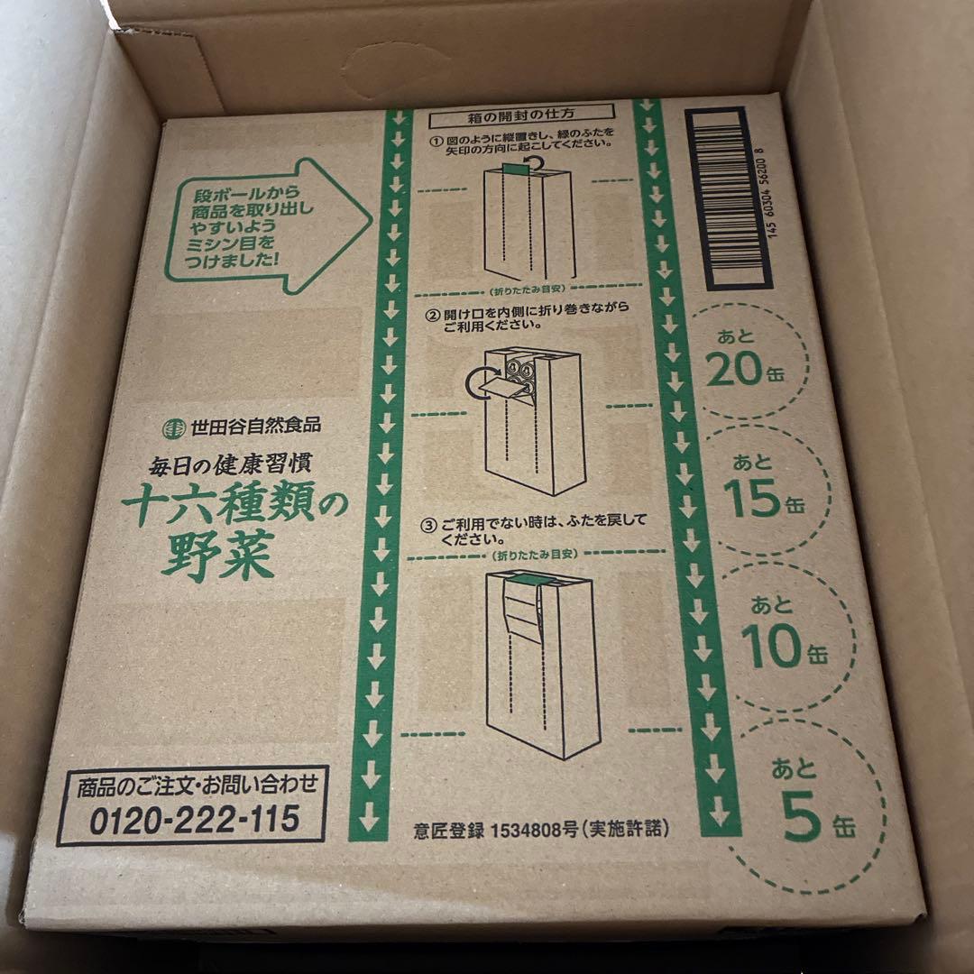 十六種類の野菜 60本