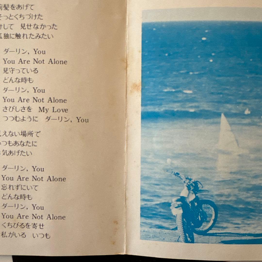 杏里 Timely!! LP レコード