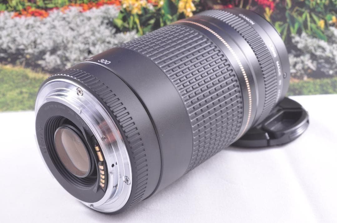 望遠はここから！ Canon キヤノン 望遠レンズ EF75-300mm