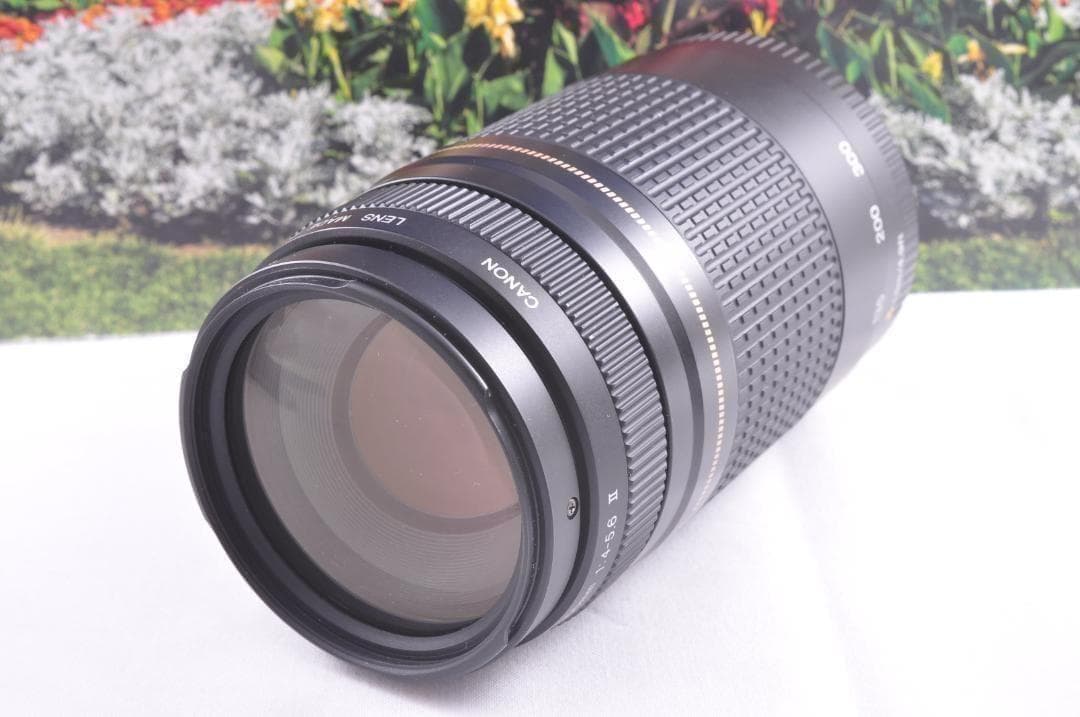 望遠はここから！ Canon キヤノン 望遠レンズ EF75-300mm