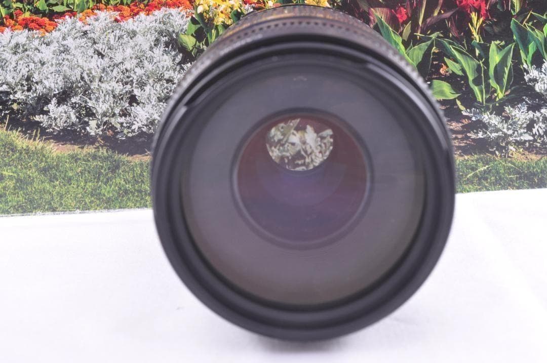 望遠はここから！ Canon キヤノン 望遠レンズ EF75-300mm