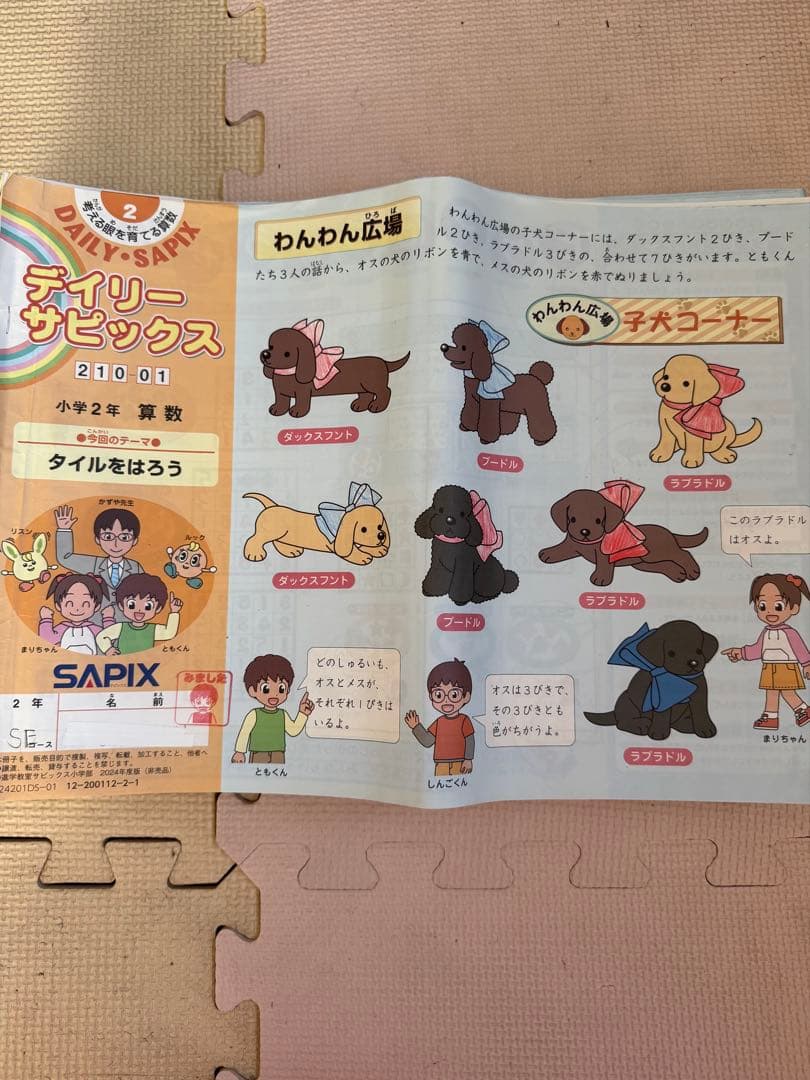 SAPIX小学２年生　算数 国語　年間フルセット 年間テスト付き