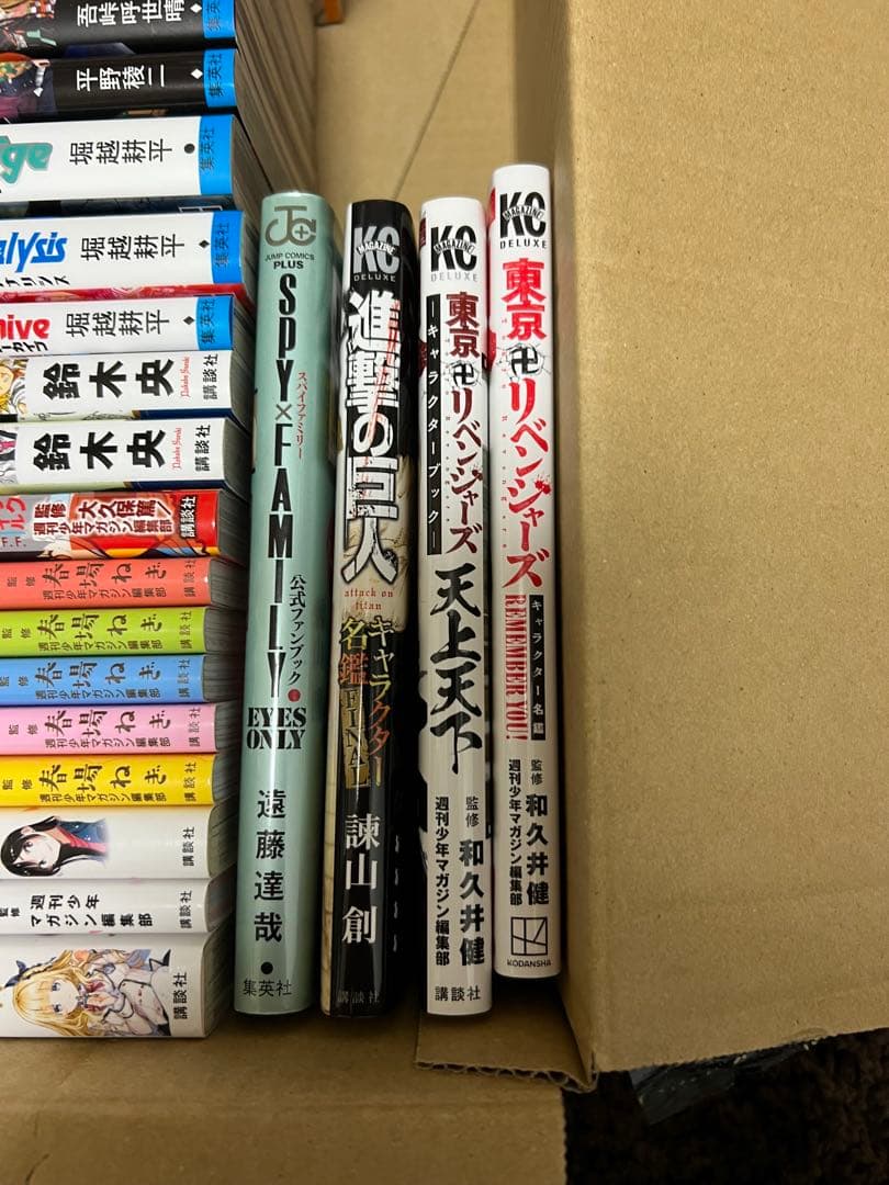 ファンブック、キャラクターブック各種【商品説明の確認を必ずお願いします】