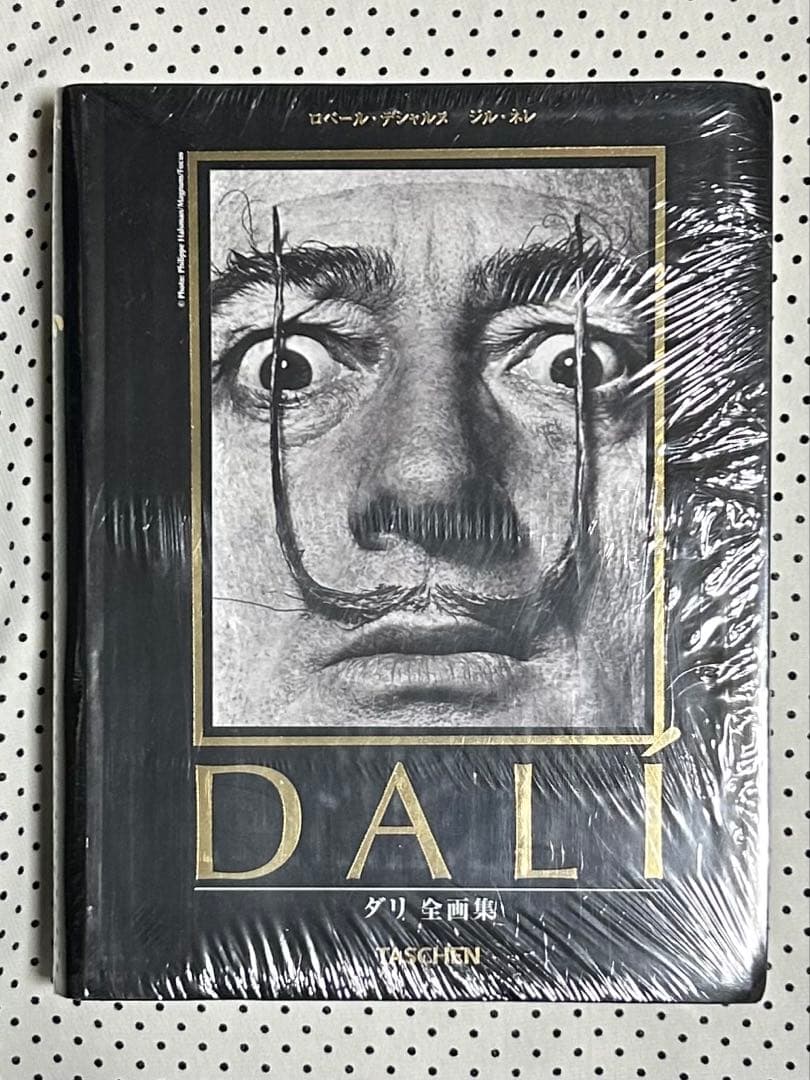 絶版 サルバドール・ダリ全画集 「Dali - The Paintings」洋書