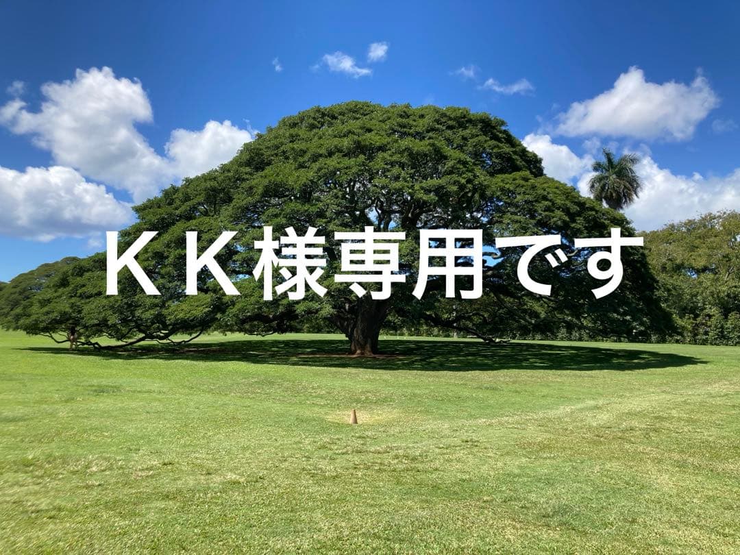 2018年MLBデビュー　大谷翔平　額縁付き直筆サインボール