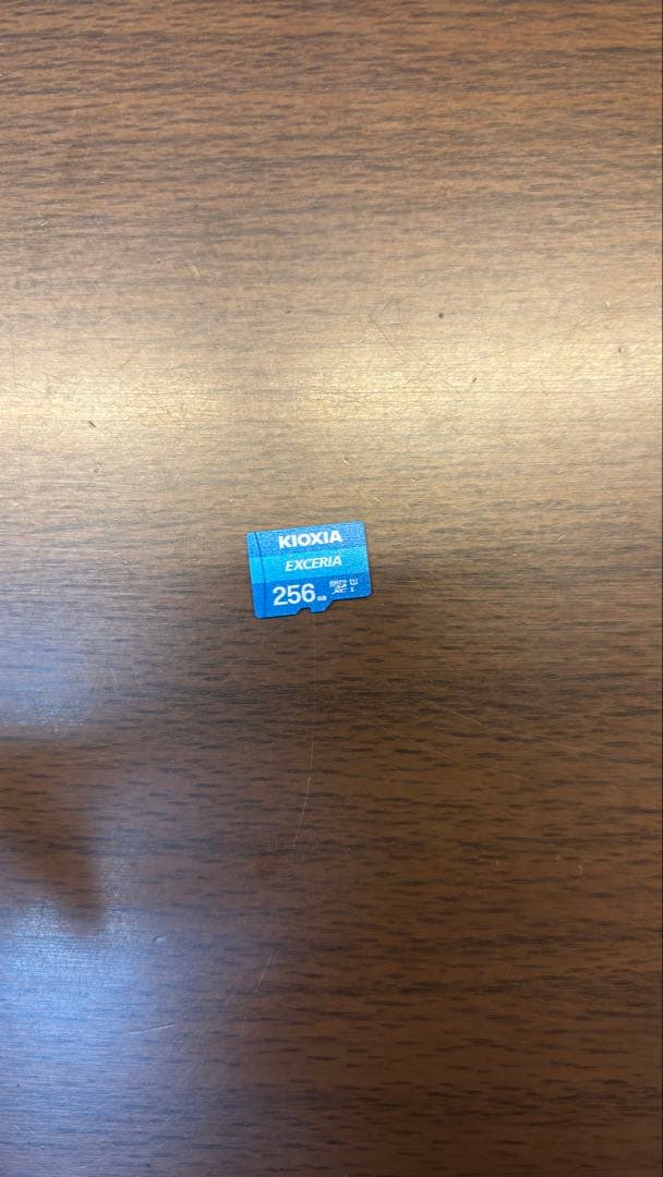 [保護フィルム,純正ケース,SDカード付き]ソニーウォークマン NW-A306