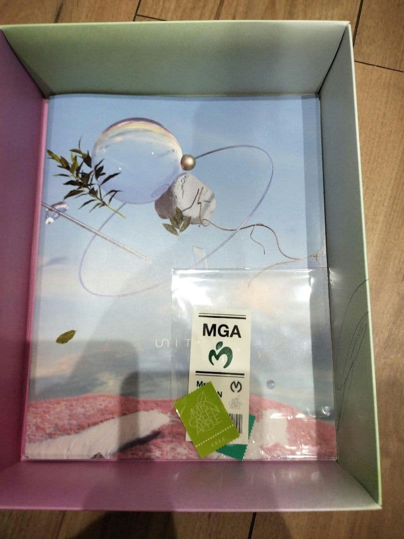 Mrs. GREEN APPLE 引退品