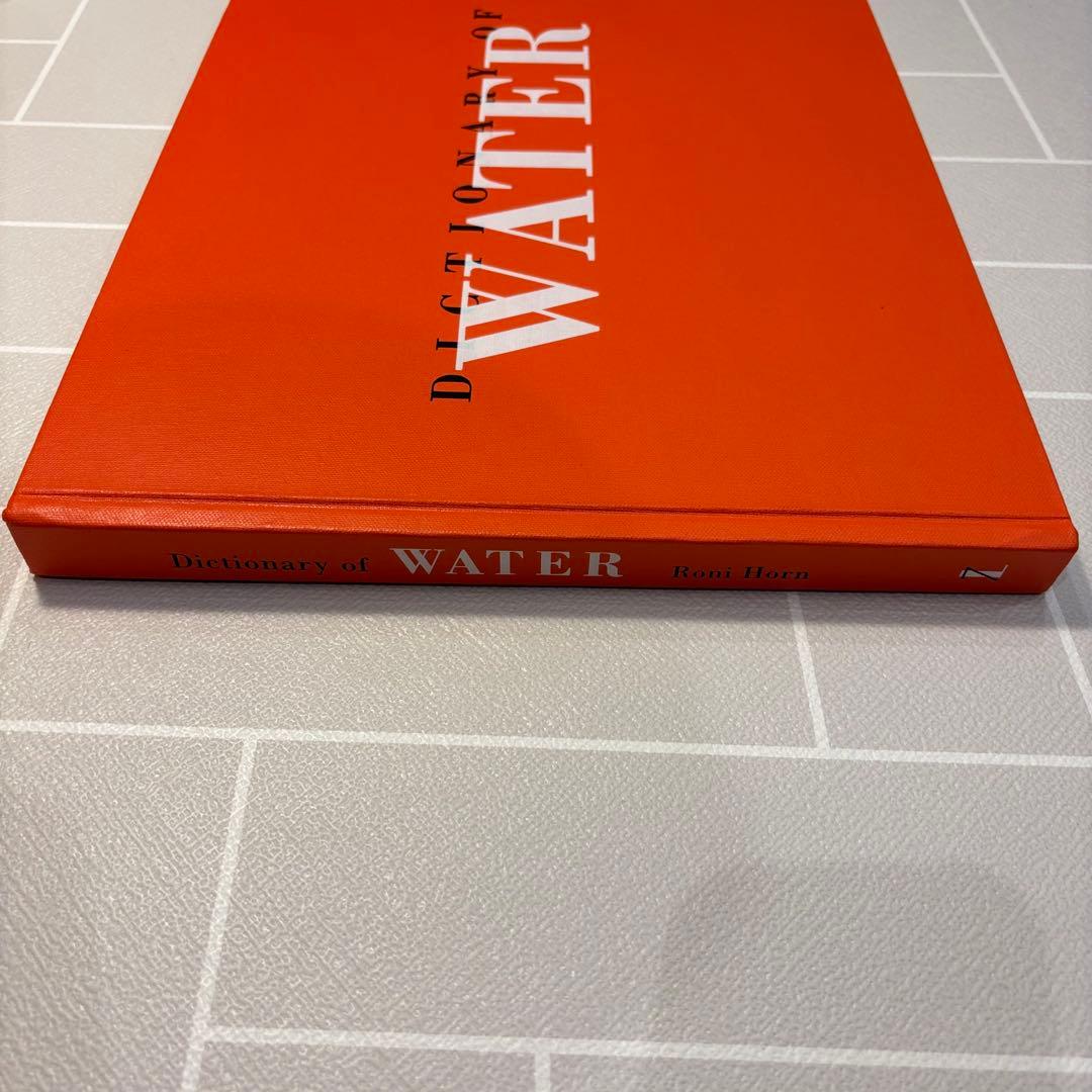 ロニ・ホーン写真集 Dictionary of Water Steidl