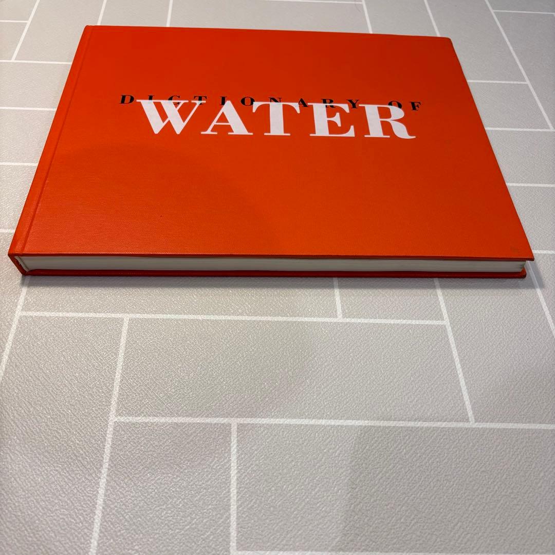 ロニ・ホーン写真集 Dictionary of Water Steidl