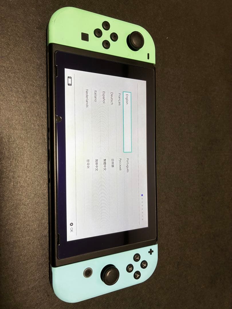 Nintendo Switch どうぶつの森エディション