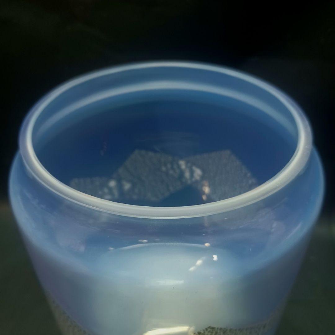 【茶道具】★乳白色 蓋付き ガラス 水指 ★ オパールセント オパルセント