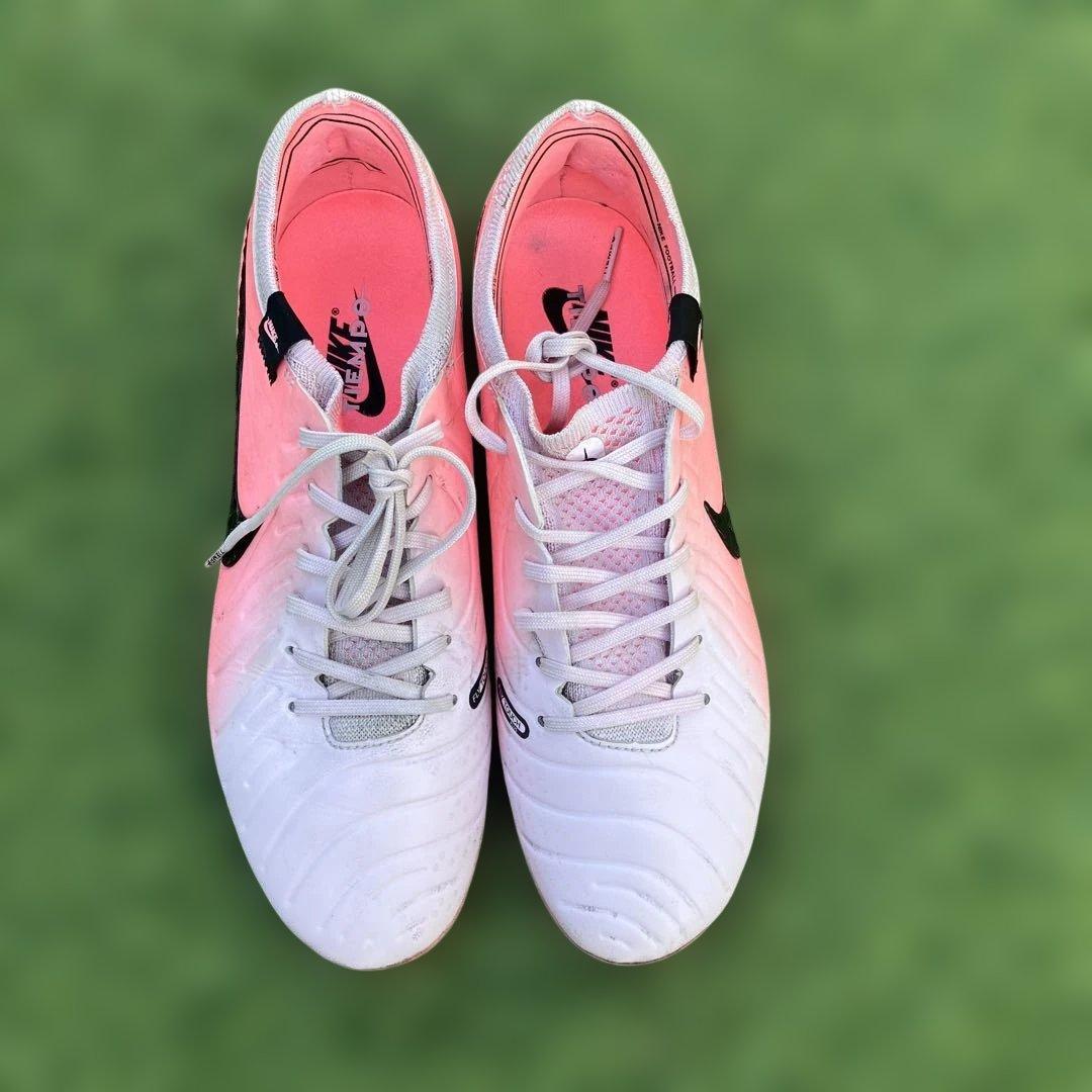 ティエンポエリート　FG