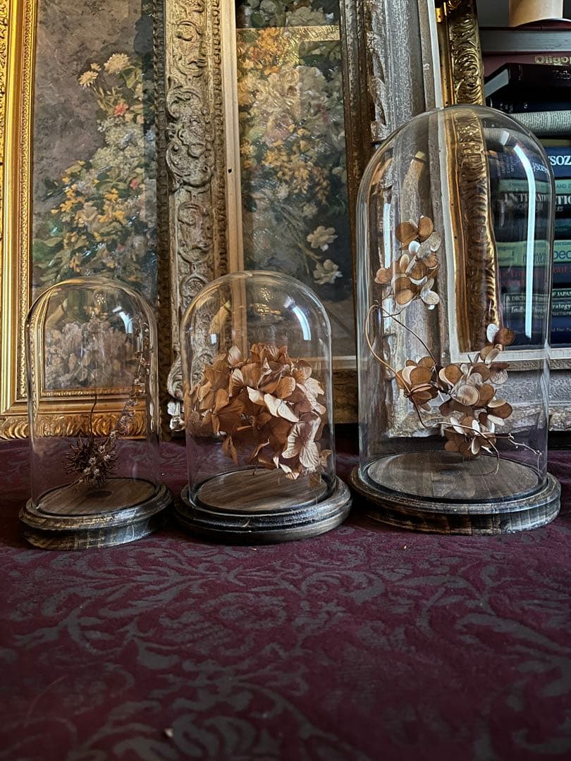 ガラスドーム　ドーム型ガラスケース 3点セット