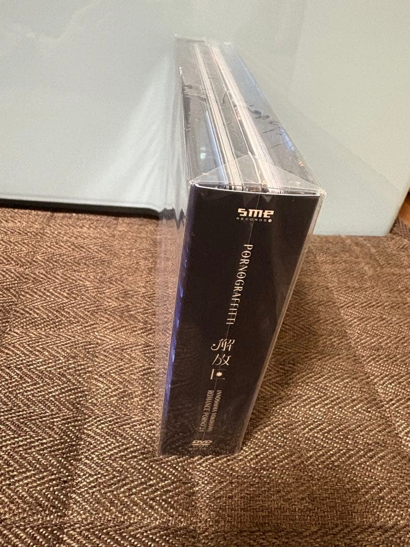 PORNO GRAFFITTIのROMANCE PORNO'24 解放区