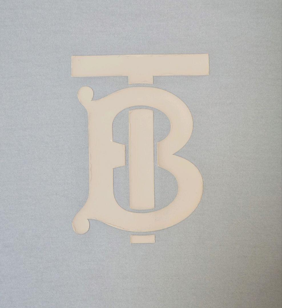BURBERRY バーバリー Tシャツ スカイブルー