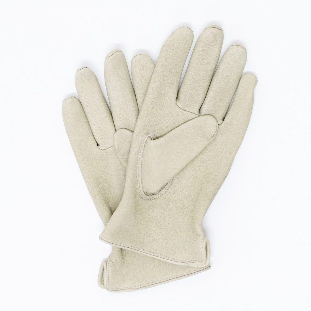 バイクウェア・装備 Lamp gloves Utility glove Standard