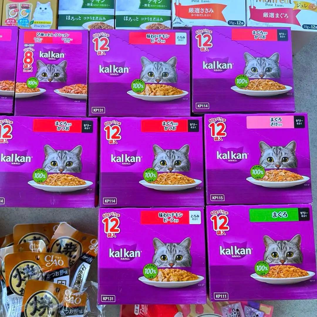 猫B 最終値下げ！