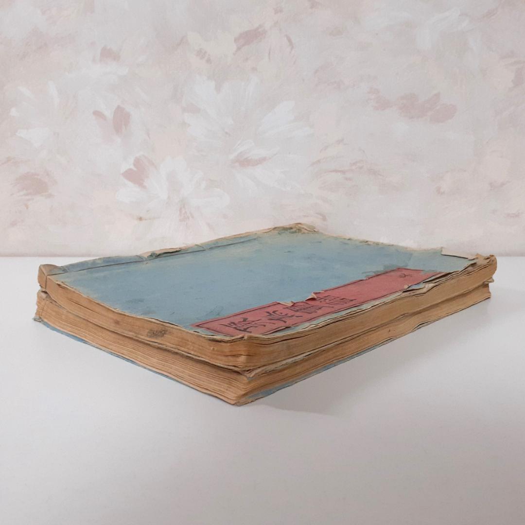 花鳥画譜　天・地　沼田荷舟　【書込みあり】