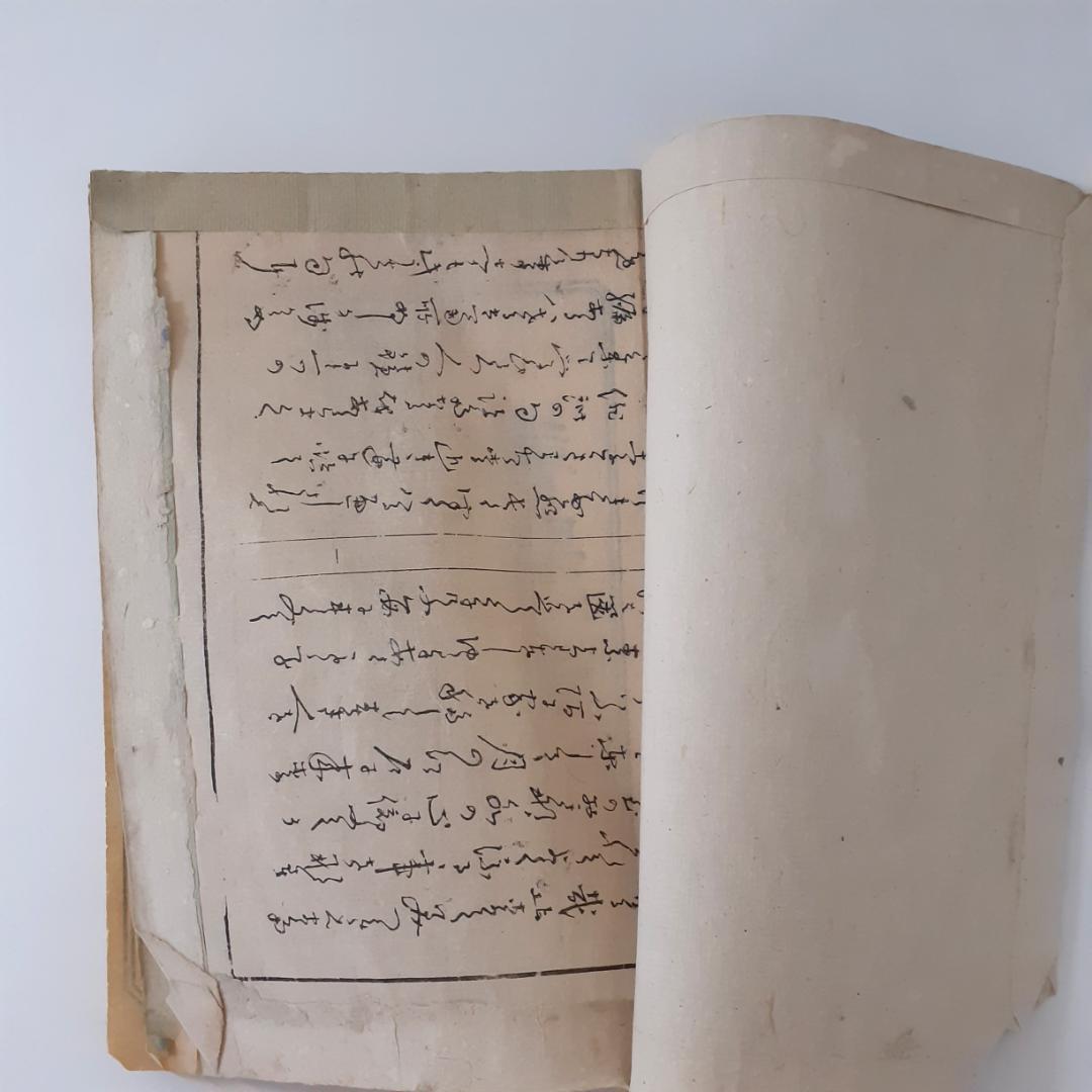 花鳥画譜　天・地　沼田荷舟　【書込みあり】