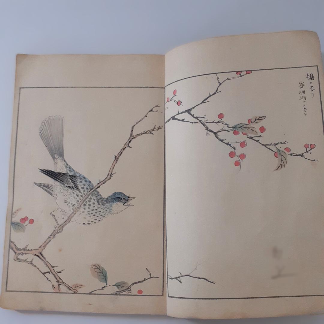 花鳥画譜　天・地　沼田荷舟　【書込みあり】