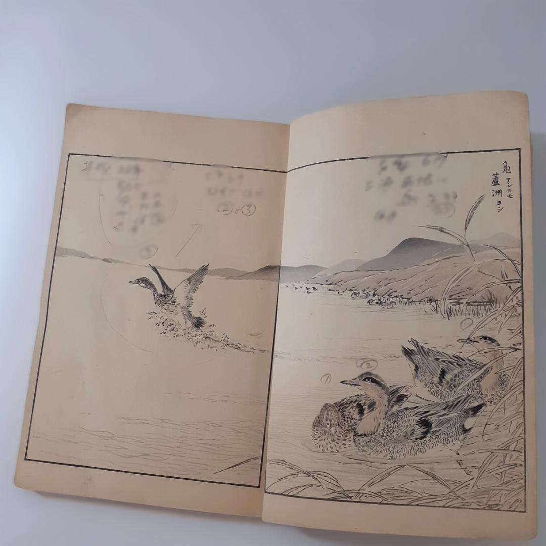 花鳥画譜　天・地　沼田荷舟　【書込みあり】