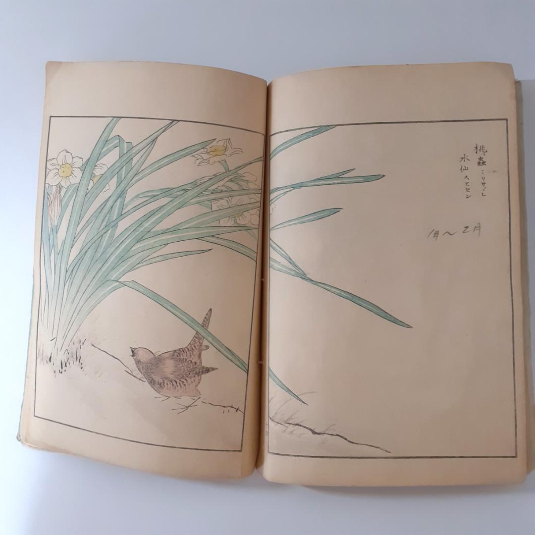 花鳥画譜　天・地　沼田荷舟　【書込みあり】