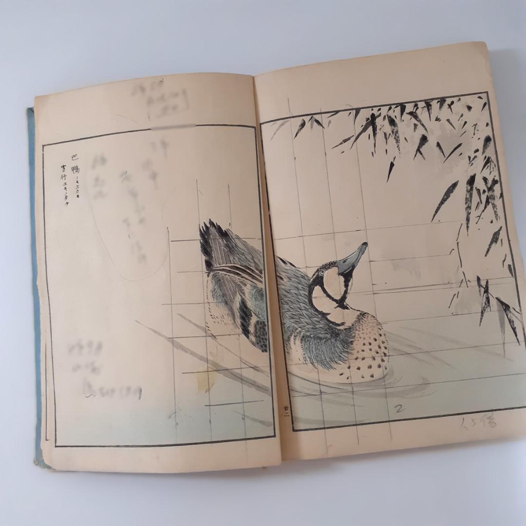 花鳥画譜　天・地　沼田荷舟　【書込みあり】