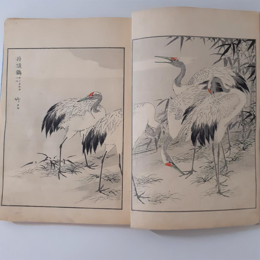 花鳥画譜　天・地　沼田荷舟　【書込みあり】