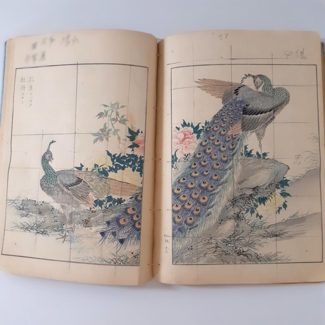 花鳥画譜　天・地　沼田荷舟　【書込みあり】