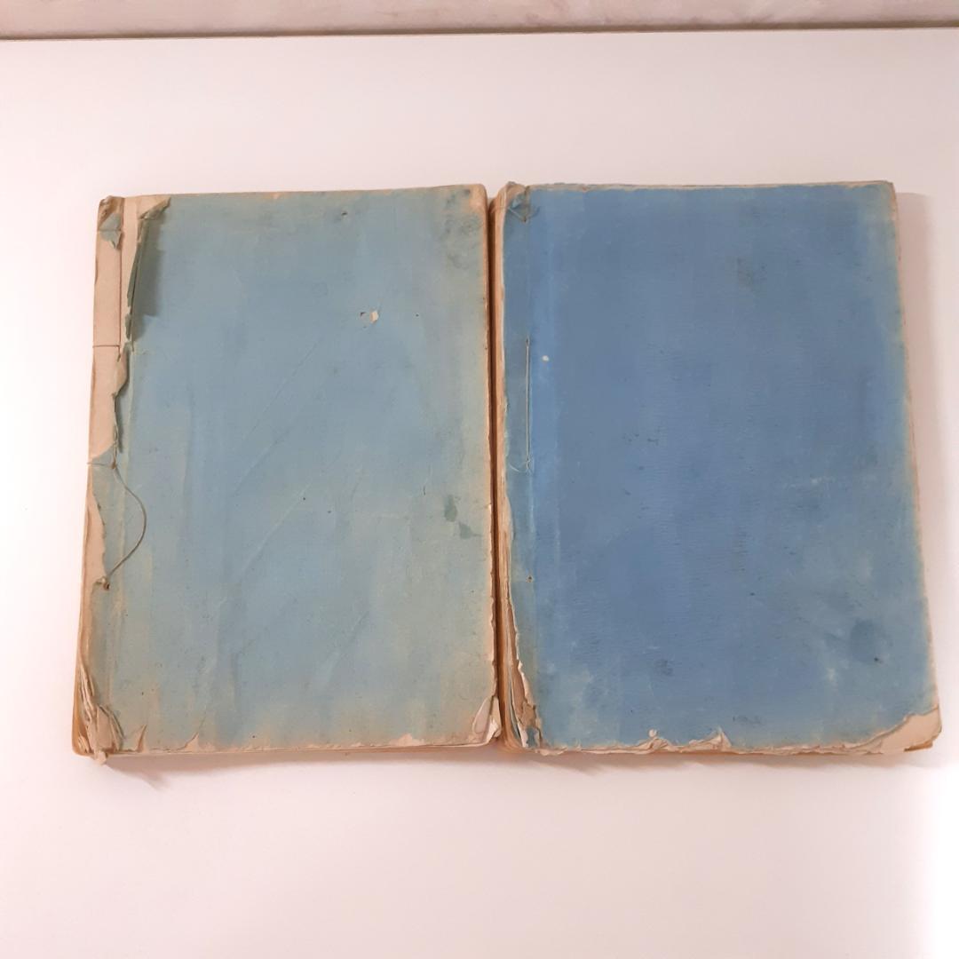 花鳥画譜　天・地　沼田荷舟　【書込みあり】