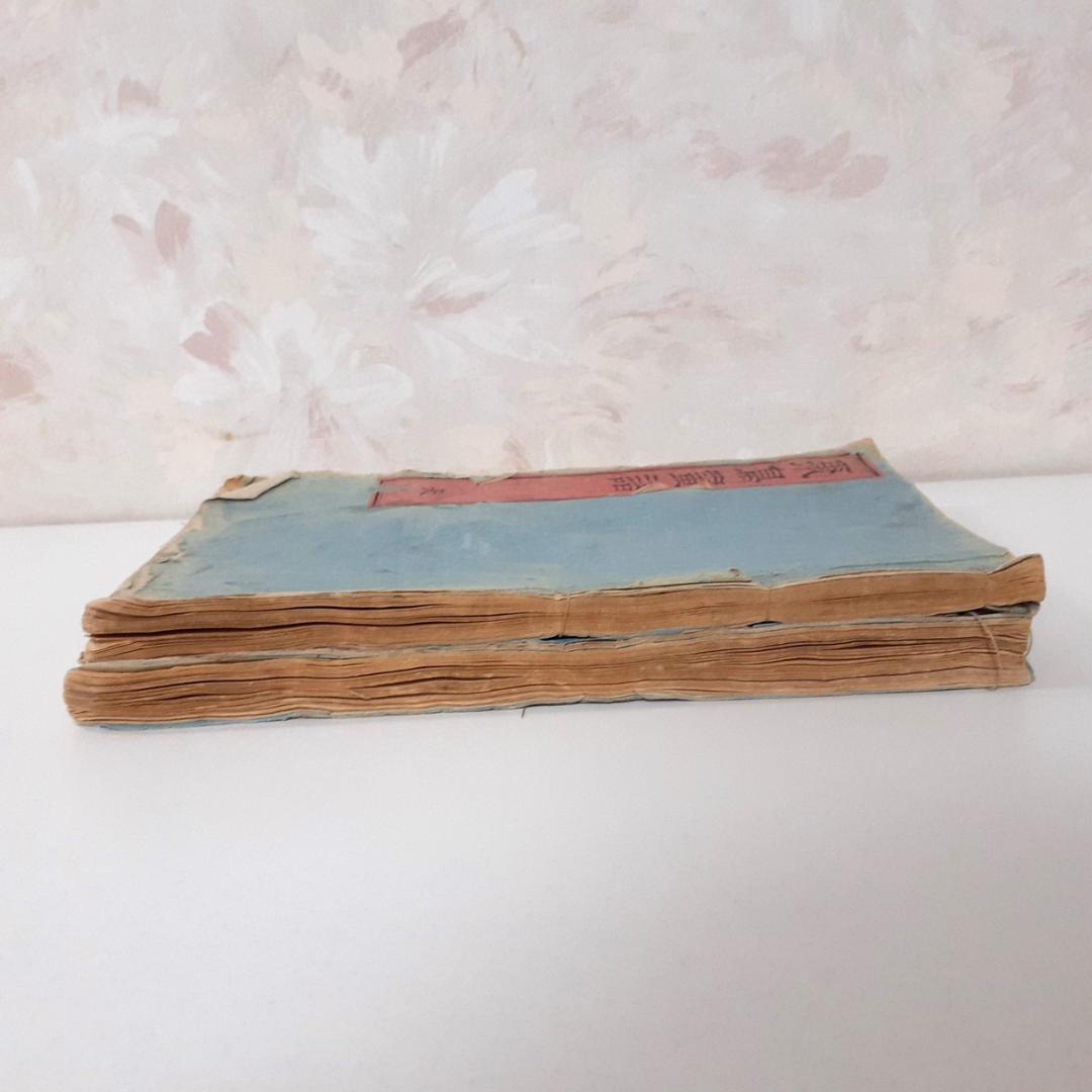 花鳥画譜　天・地　沼田荷舟　【書込みあり】