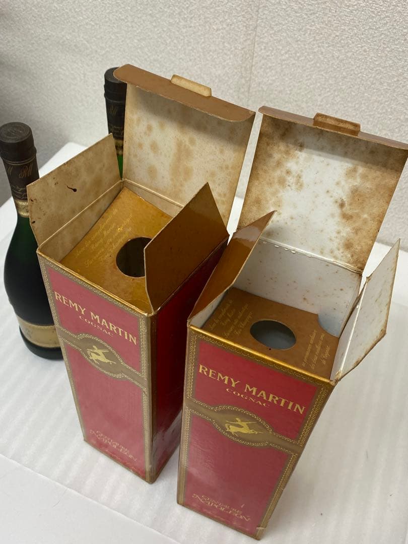 【イチゴ】3-2314 レミーマルタン　セントーナポレオン　2本セット