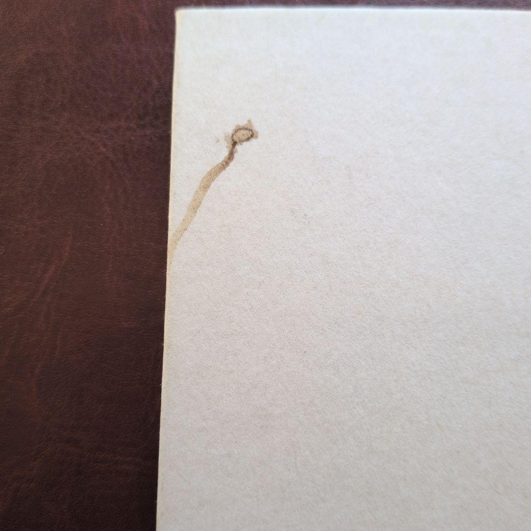 【600部限定】中平卓馬 「沖縄」写真集