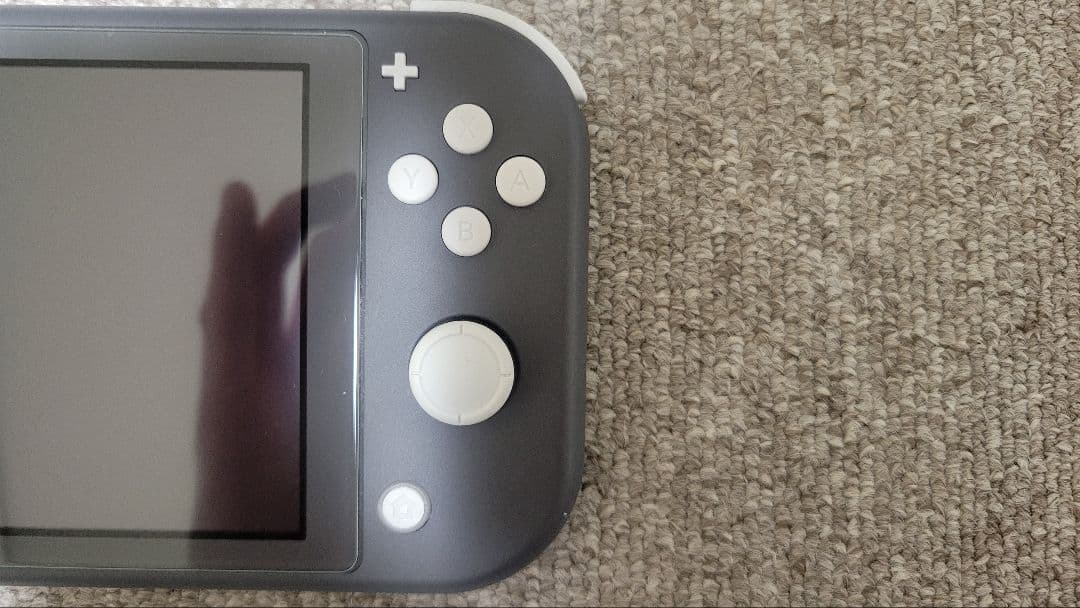 Nintendo Switch Lite グレー 本体＋シリコンカバー