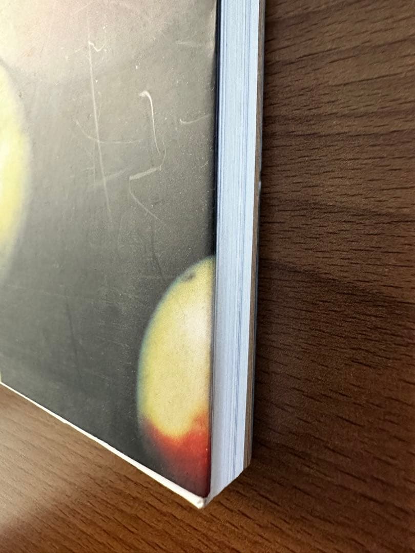 Wolfgang Tillmans｜ヴォルフガング・ティルマンス