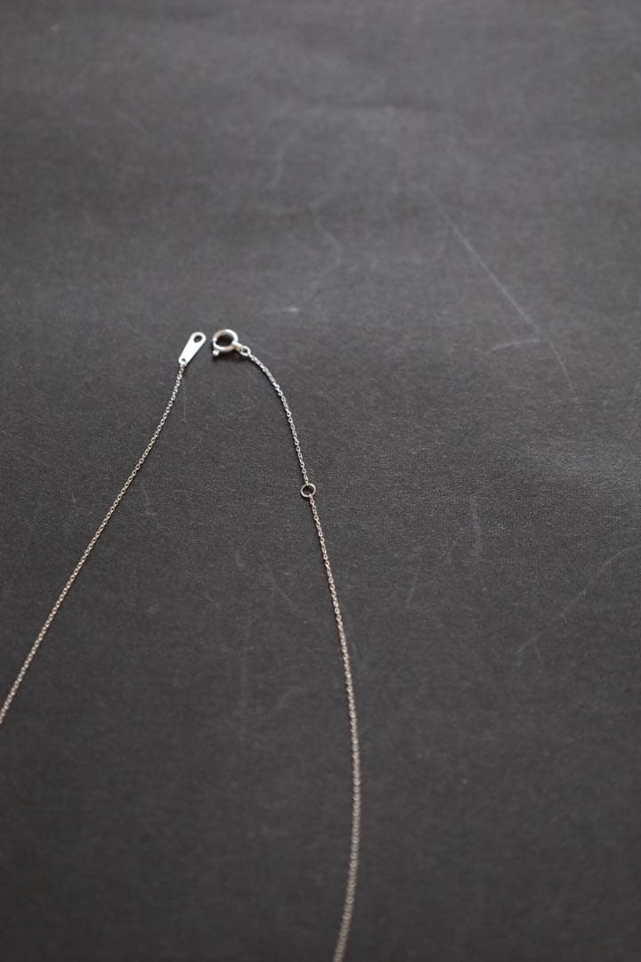 プラチナチェーンネックレス