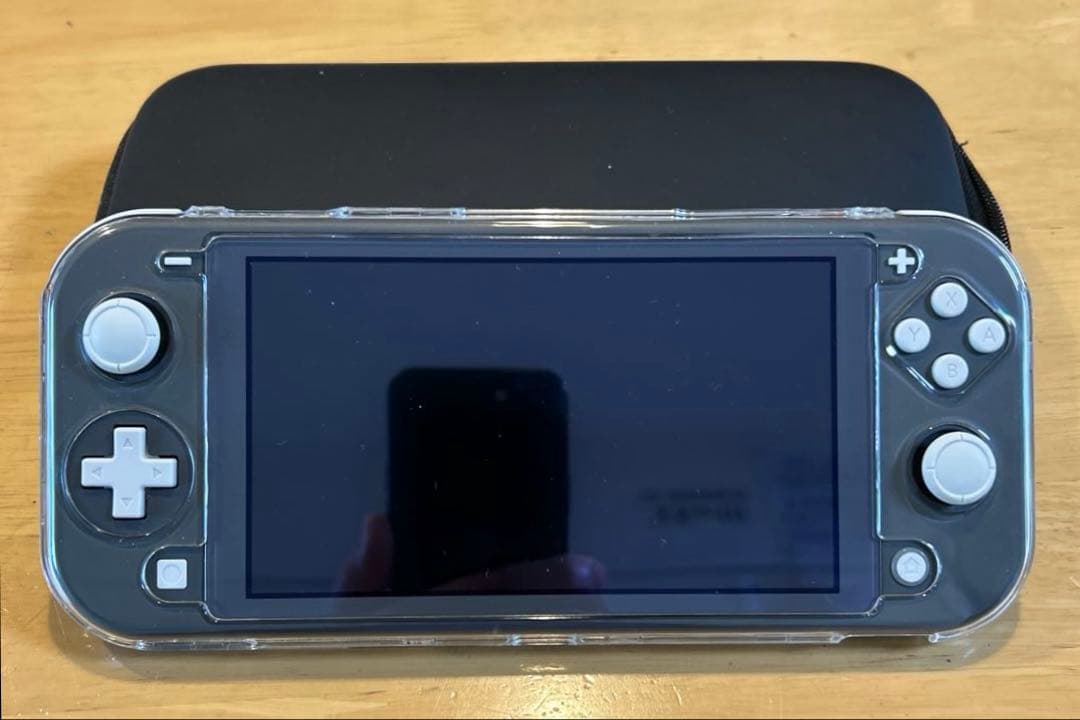 せ*み様 Nintendo Switch Lite グレー本体