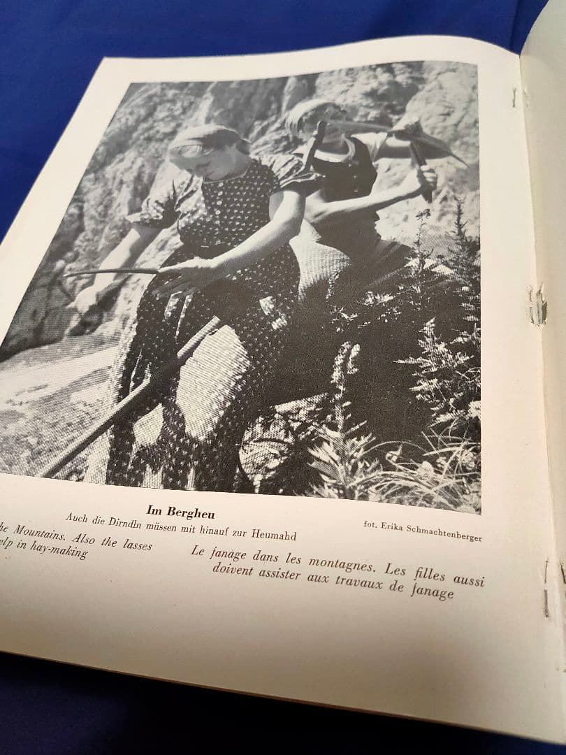 【白黒写真集】（ドイツの西アルプス）