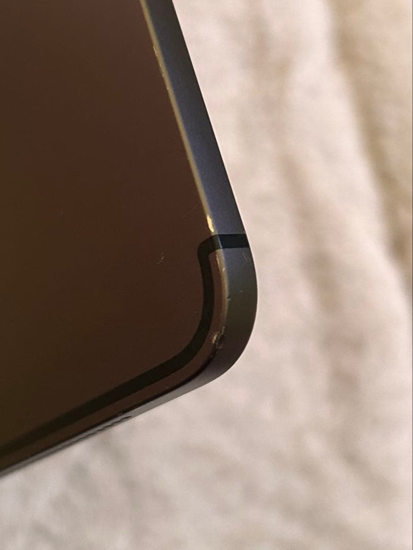 青*様 Apple iPad pro （12.9インチ） 第3世代　本体