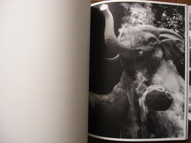 Bruce Weber　ブルース・ウェーバー