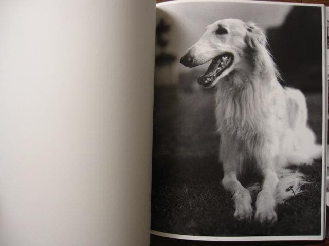 Bruce Weber　ブルース・ウェーバー