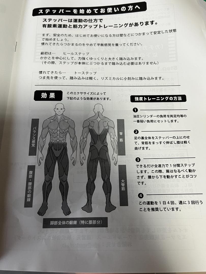 Xiser エクサー　プロ　ステッパー