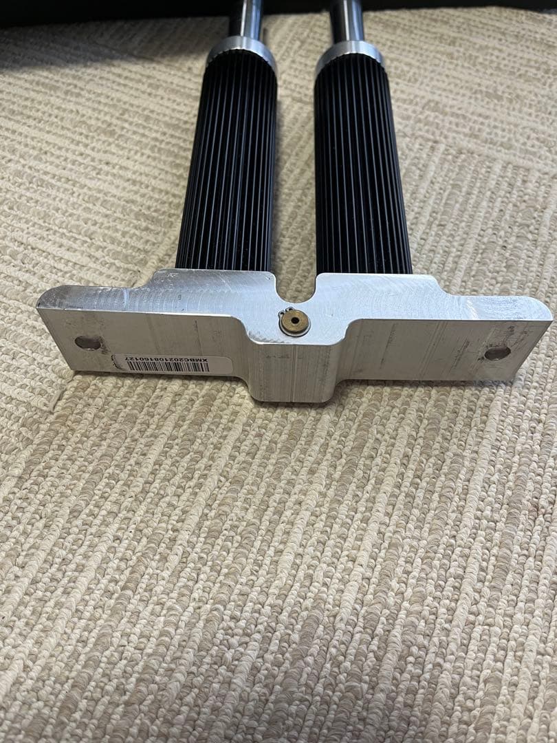 Xiser エクサー　プロ　ステッパー