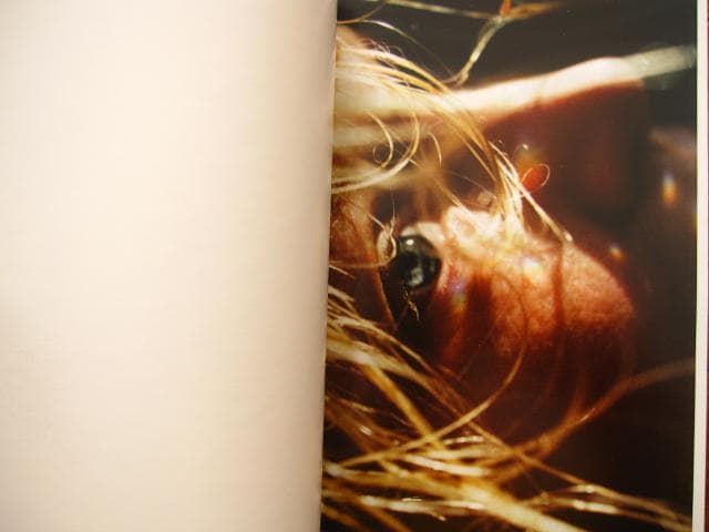 アート・デザイン・音楽 Lina Scheynius 08