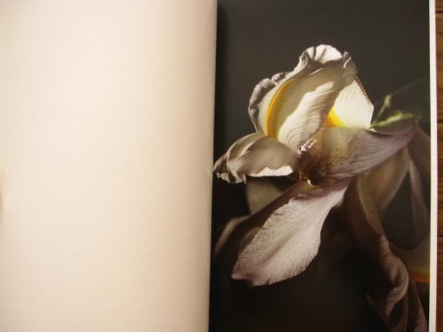 アート・デザイン・音楽 Lina Scheynius 08