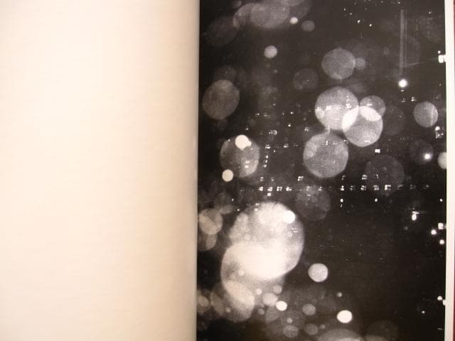 アート・デザイン・音楽 Lina Scheynius 08